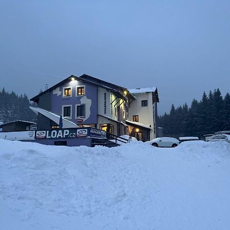 Pension Max Klinovec Loučná pod Klínovcem Exteriör bild